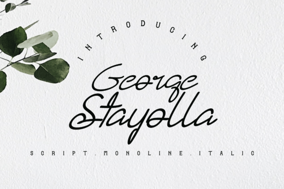 George Stayolla Font Review for Real Projects