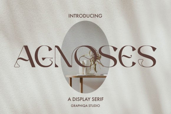How Agnoses Transformed My Brand’s Visual Identity