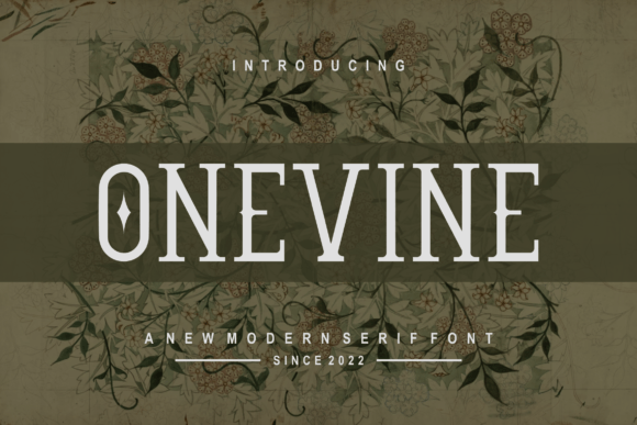 How Onevine Transformed My Brand’s Visual Identity