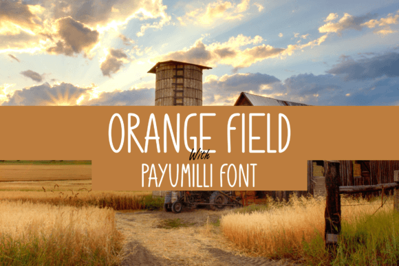Payumilli: A Modern Handwritten Font for Cool Branding